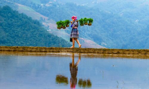 Sapa Ethnic Girl